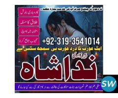 expert no 1 amil baba in karachi london