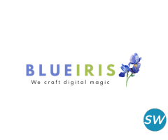 Blueiris: Top Digital Marketing Agency in Mumbai