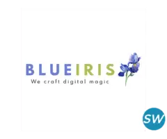 Blueiris: Top Digital Marketing Agency in Mumbai - 2