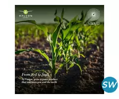 Premium Farmland for Sale in Shankarpally - 1