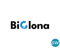 ON DEMAND APP DEVELOPMENT COMPANY