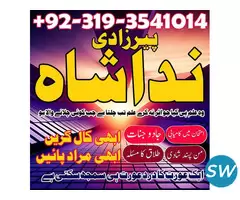 jadu mahir kala ilam astrologer,uk pamist,