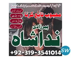 jadu mahir kala ilam astrologer,uk pamist,