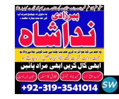 jadu mahir kala ilam astrologer,uk pamist,