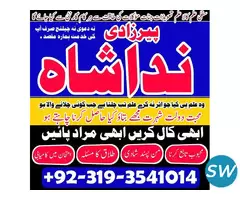 jadu mahir kala ilam astrologer,uk pamist,