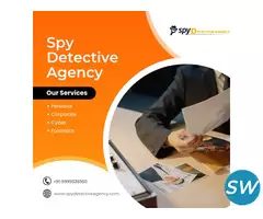 Detective  agency in Noida