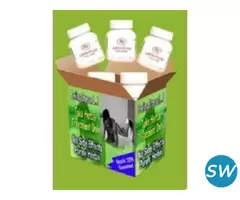 AROGYAM PURE HERBS KIT FOR SEXUAL WEAKNESS