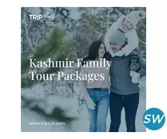 Kashmir tour packages for couple