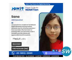 Master Digital Marketing at NDMIT South Delhi