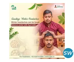 Panchakarma Therapy In Delhi - 1