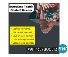 Vashikaran for Mother in Law - 1