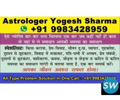 Love Problem Solution Astrologer