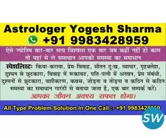 Love Problem Solution Astrologer