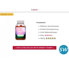 Leanix – Die smarte Lösung - 1
