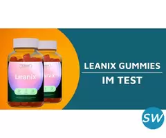 Leanix – Die smarte Lösung - 2