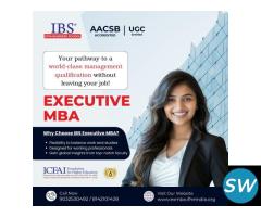 Executive MBA Options for Busy Professionals - 1