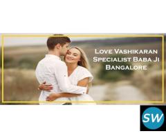 Love Vashikaran Specialist Baba ji Karnataka - 2