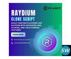 Raydium clone script - Launch your DEX at Low Cost - 1