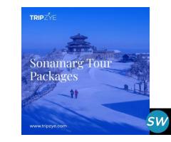 Sonmarg tour packages