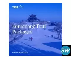 Sonmarg tour packages - 1
