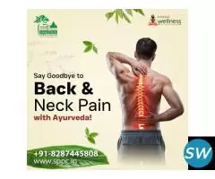 Back Pain Treatment In Delhi - 1