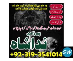 love marriage expert astrologer amil baba karachi