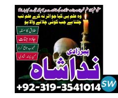 love marriage expert astrologer amil baba karachi