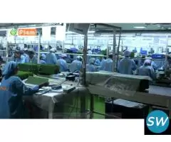 Hub Motor manufacturer - 3