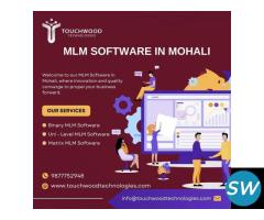 Single Leg MLM Plan for Automated Earnings