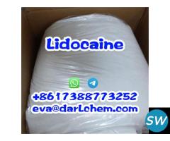 Lidocaine Hydrochloride C14h23cln2o CAS 73-78-9