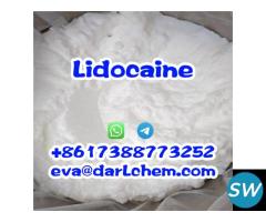 Lidocaine Hydrochloride C14h23cln2o CAS 73-78-9