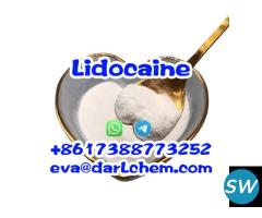 Lidocaine Hydrochloride C14h23cln2o CAS 73-78-9