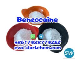 High Purity Benzocaine Sodium Powder CAS 94-09-7