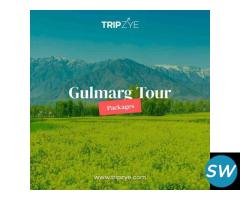 kashmir gulmarg tour