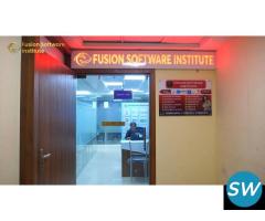 Fusion Software Institute