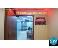 Fusion Software Institute - 3