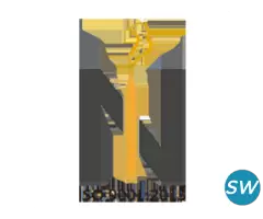 Nicotine Polacrilex Manufacturers in india - 2