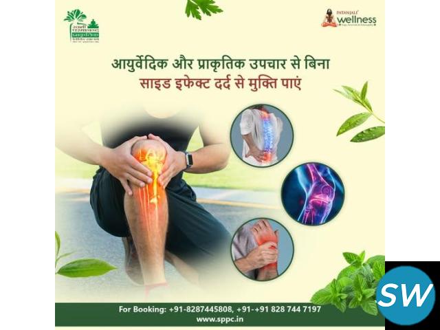 Ayurvedic Therapy In Delhi - 1