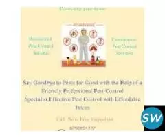 Best Rodent Removal Solutions in Kurnool