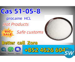 CAS RN | 51-05-8 | Procaine Hydrochloride - 1