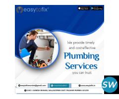 Expert Plumbing Services in Mumbai