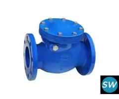 Check Valve Manufacturer in India - 1