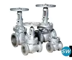 Check Valve Manufacturer in India - 2