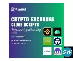 Get End-to-End DAO Development