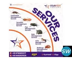 Affordable Anti Termite Pest Control Near Me