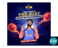 Where to Bet on IPL? Check Out These Sites