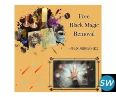 Free Black Magic Removal Astrologer - 1