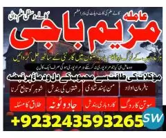 Free Black Magic Removal Astrologer - 1