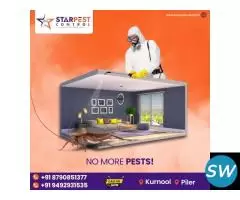 Best Flies and Spider Pest Control