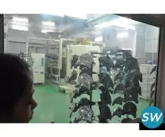 Automotive Lights, Bulbs & Lamps - 3